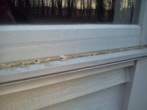 window trim damage from moisture
